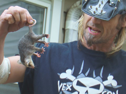 Playing Possum