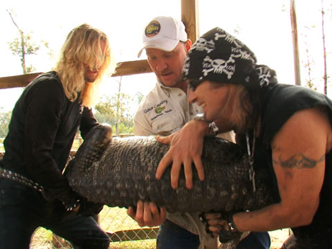 Moving Gators