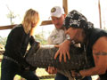 Billy the Exterminator: Moving Gators