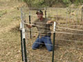 Lady Hoggers: Hog Trap