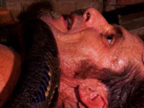 Python