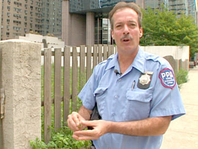 Parking Wars: Wild About The PPA