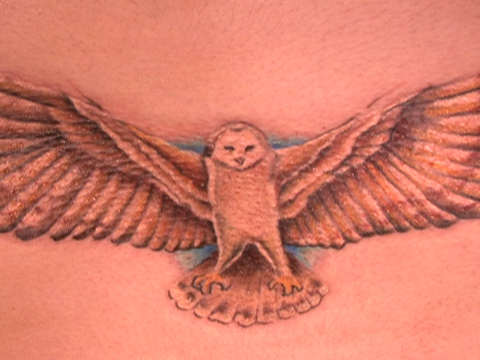 Owl Tattoo