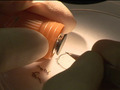 Crime 360: Forensic Tools - Electron Microscope