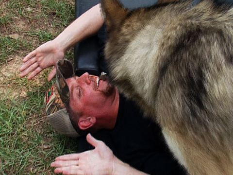 Wolf Attack!