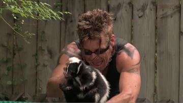 Skunks in the Garden