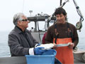 Storage Wars: Oysters on the Half Plate