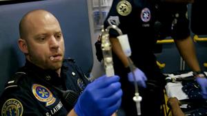 Preview: United We Stand